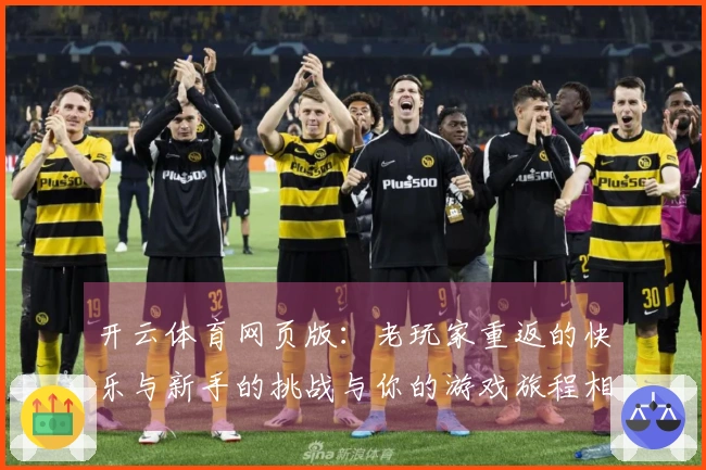 开云体育网页版：老玩家重返的快乐与新手的挑战与你的游戏旅程相伴