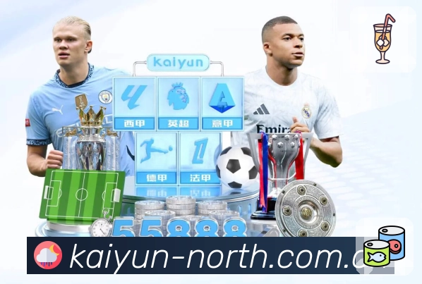 <strong>开云</strong>全球化平台服务团队形象